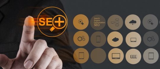 spécialiste SEO